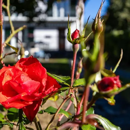 Holiday home Bellagiocasa Ortensia