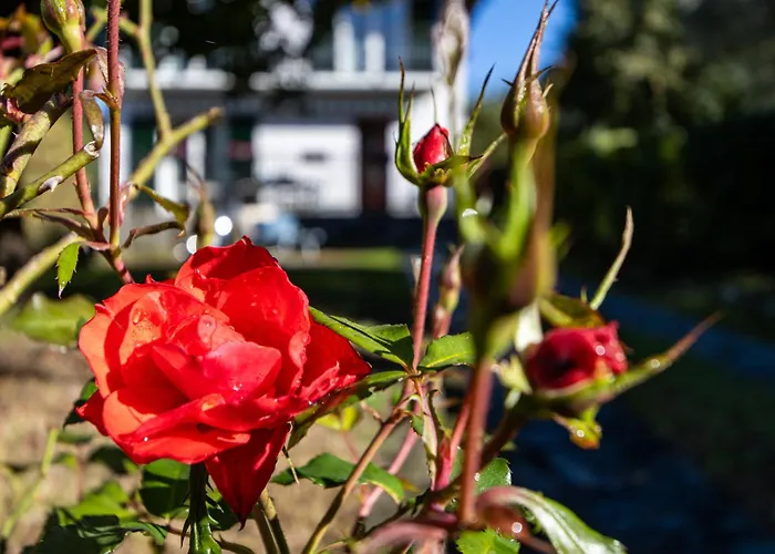 Дом отдыха Bellagiocasa Ortensia